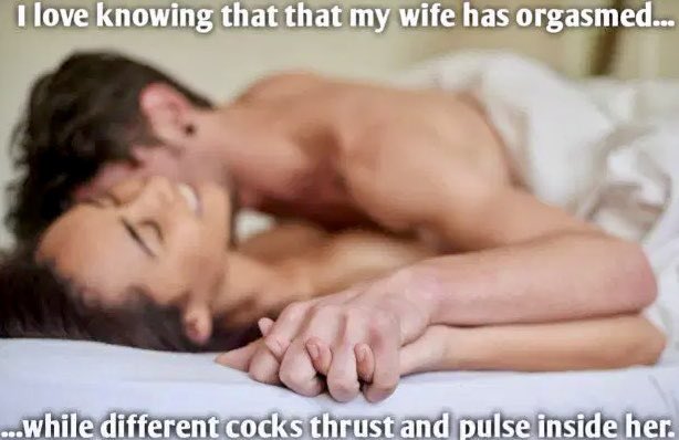 Hotwife & Girlfriend’s Club (@hotwife_club_) on Twitter photo 