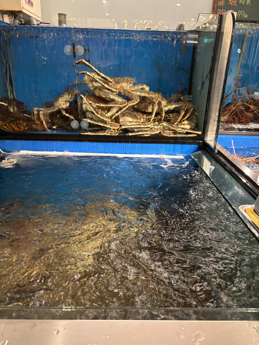 火力爆棚😄支援前線 tweet media