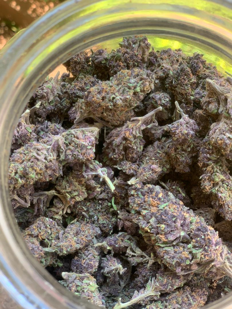 msiska_bright's tweet photo. OG KUSH 3000/G
Purple Haze 2500/G https://t.co/jyyUGjAkRp