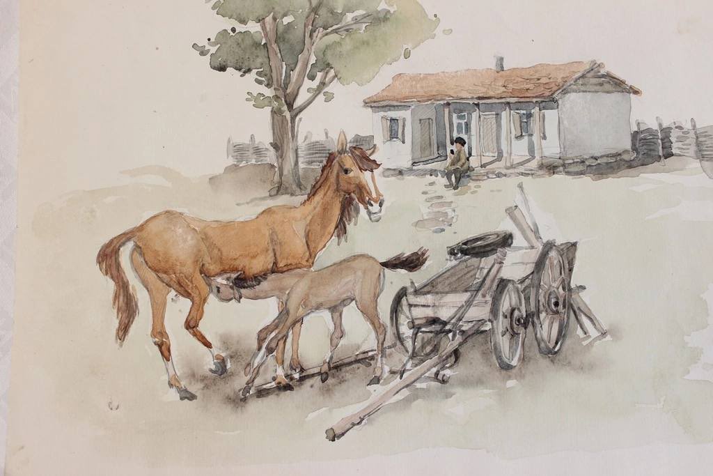 Chechen Visuals tweet media