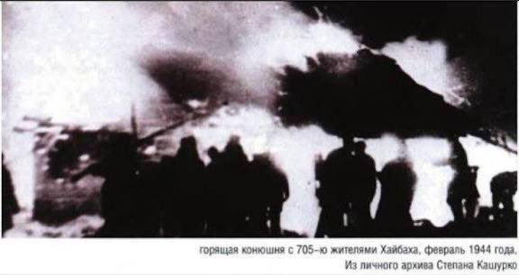 Chechen Visuals tweet media