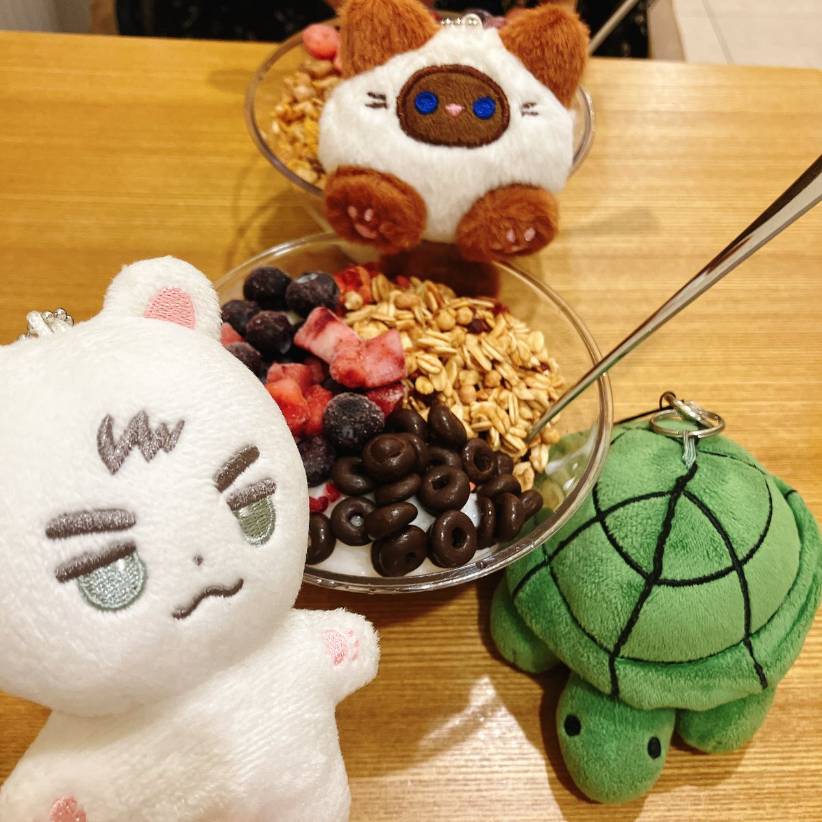 Torijun tweet media