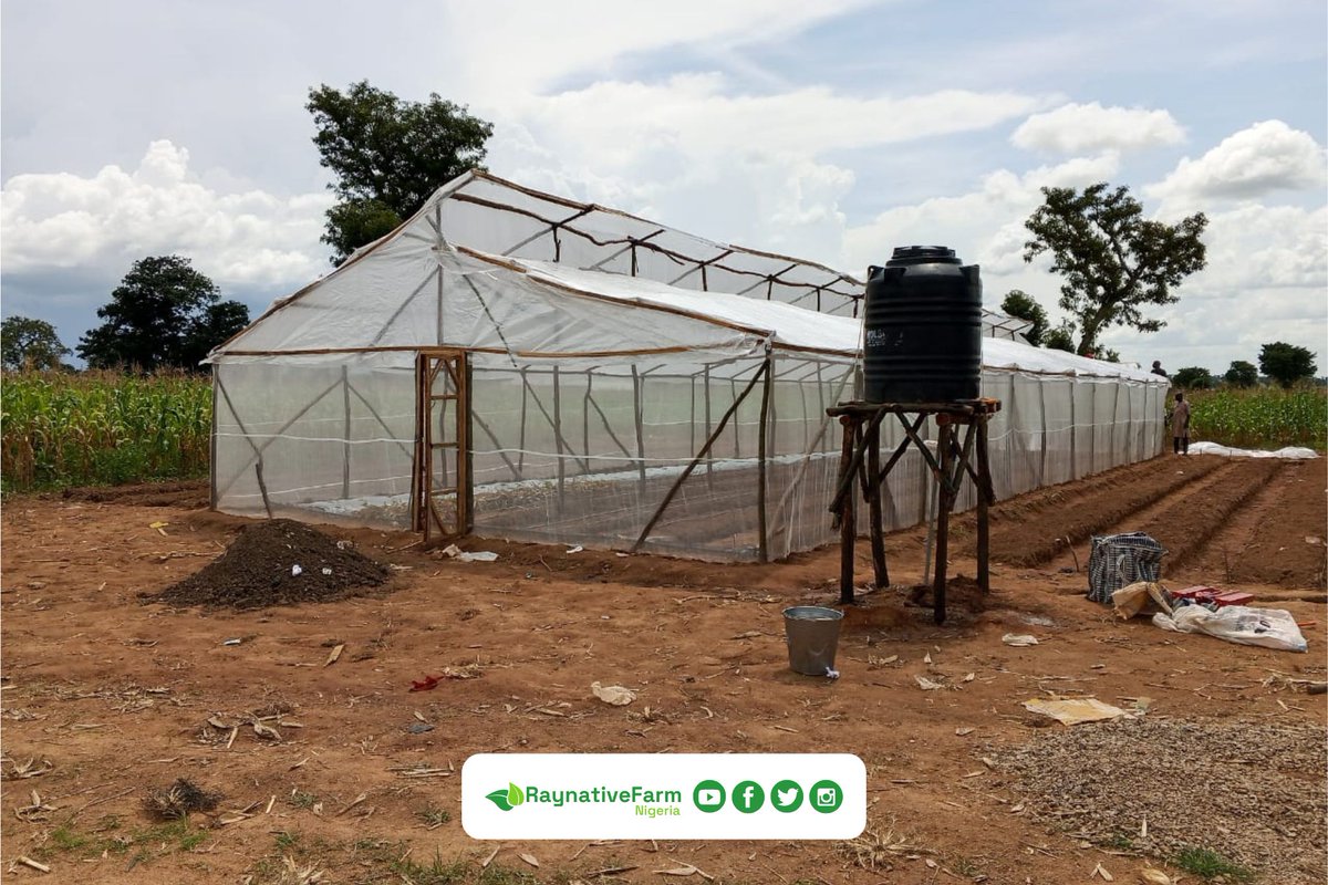 Raynative Smart Farm 🇳🇬 tweet media
