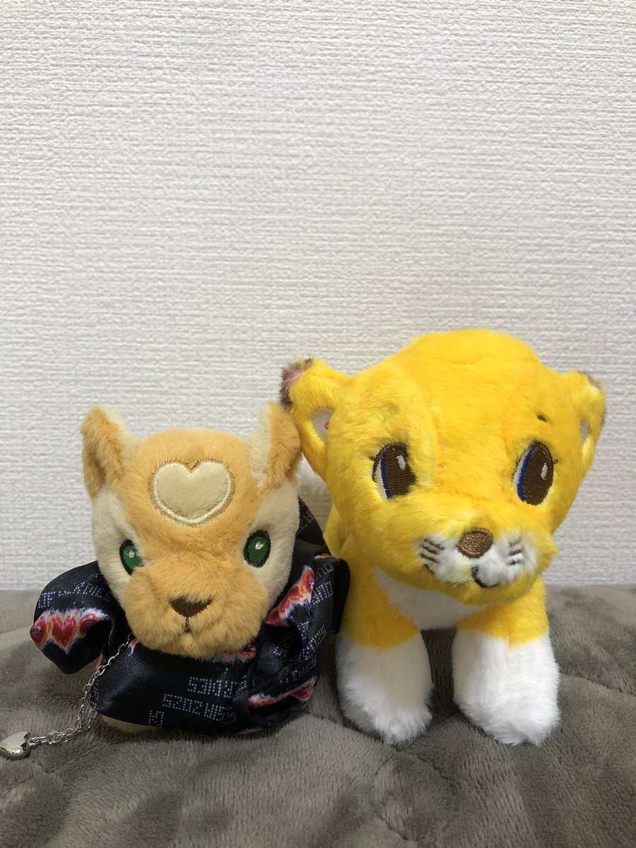 ciaociaoni__'s tweet image. 9月だってのに暑すぎる💦💦
そんな中エレナちゃんをお迎えに🚃🦁💖
こちらは予想より大きめ🤭可愛い🥰

エリーさんのレオナちゃんと一緒に
たくさんお出かけしたいな💖🦁
#ハートのレオナとエレナ 
#MCML