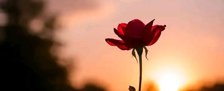 #UrduPoetry

ہم عاشق غزل ہیں تو مغرور کیوں نہ ہوں,,
آخر یہ شوق بھی تو نوابوں کا شوق ہے~!!

اس شخص کے فریب سے واقف ہیں ہم مگر,,
کچھ اپنی پیاس کو ہی سرابوں کا شوق ہے~!!

گرنے دو خود سنبھلنے دو ایسے ہی چلنے دو,,
یہ تو چراغؔ خانہ خرابوں کا شوق ہے

چراغ شرما