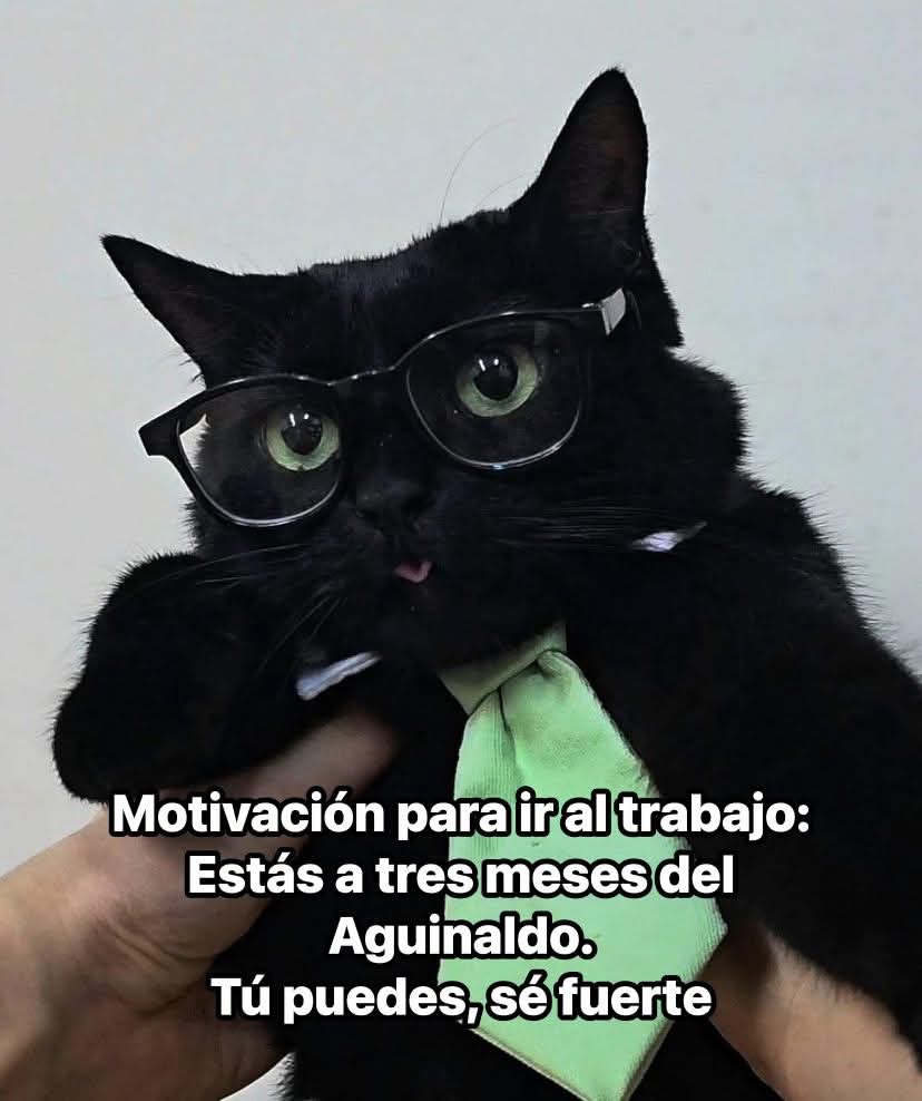 En Júpiter (@en_jupiter_) on Twitter photo 