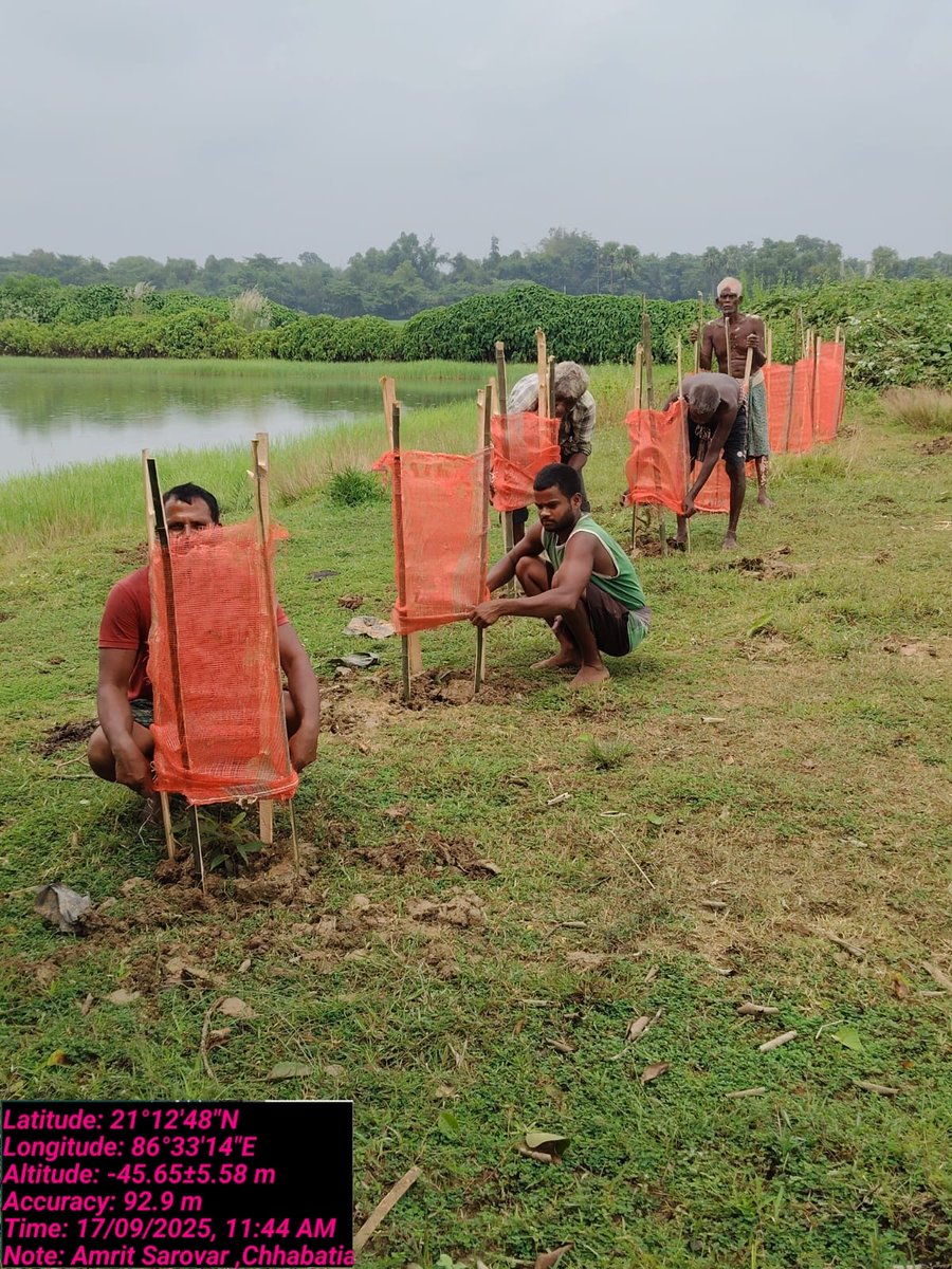'Ek Ped Maa Ke Naam 2.0' Campaign in SIMULIA BLOCK
<a href="/CMO_Odisha/">CMO Odisha</a> <a href="/PMOIndia/">PMO India</a> <a href="/GovernorOdisha/">Governor Odisha</a> <a href="/GaneshRamBJP/">Ganesh Ram Singkhuntia</a> <a href="/moefcc/">MoEF&CC</a> <a href="/ForestDeptt/">Odisha Forest, Env. and Climate Change Department</a> <a href="/pccfodisha/">PCCF & HoFF Odisha</a> <a href="/PCCFWL_Odisha/">PCCF WL & CWLW, Odisha</a> <a href="/CAMPAODISHA/">CAMPA ODISHA</a> <a href="/SecyChief/">ChiefSecyOdisha</a> <a href="/DC_Odisha/">Office of Development Commissioner, Odisha</a> <a href="/krushibibhag/">କୃଷି ବିଭାଗ, ଓଡ଼ିଶା</a> <a href="/PWD_Odisha/">Works Department, Odisha</a> <a href="/FdOdisha/">Finance Department</a> <a href="/OdishaSecretary/">AgriSecyOdisha</a> <a href="/PRDeptOdisha/">Panchayati Raj and Drinking Water Department</a> <a href="/SMEOdisha/">EducationOdisha</a> <a href="/HFWOdisha/">H & FW Dept Odisha</a>
