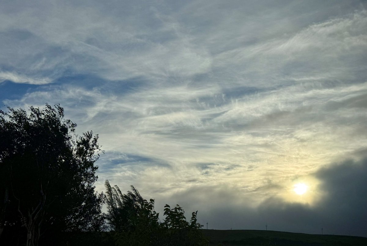 After the storm…What a very wet &amp; windy night in the Northwest!🥱😴☕️ Take care if you’re out and about, some debris and fallen tree reported earlier on Ballyquin Road <a href="/bbcniweather/">BBC NI Weather</a> <a href="/UTVNews/">UTV Live News</a> <a href="/Louise_utv/">Louise Small</a> <a href="/WeatherCee/">Cecilia Daly</a> <a href="/barrabest/">Barra Best</a> <a href="/geoff_maskell/">Geoff Maskell</a> <a href="/Ali_Totten/">Ali Totten</a> <a href="/WeatherAisling/">Aisling Creevey</a> <a href="/deric_tv/">Deric</a>