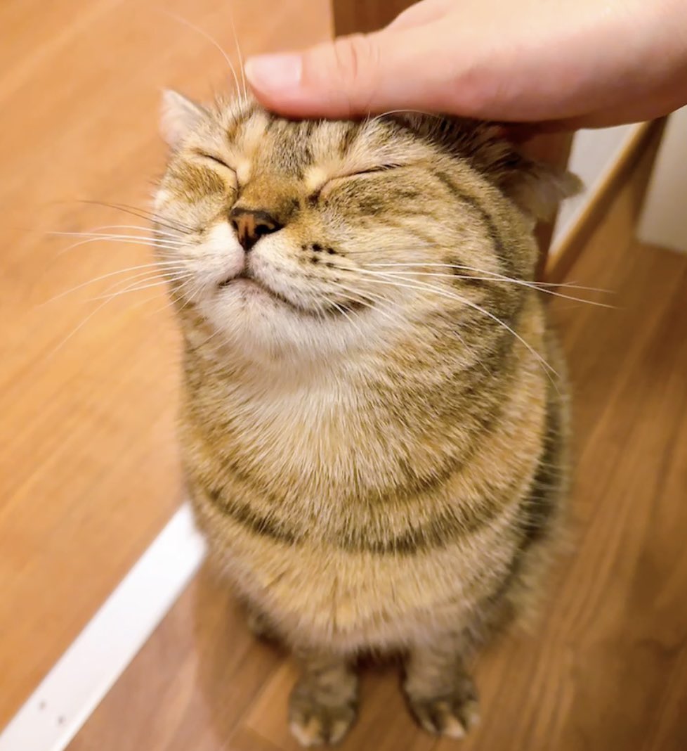 お留守番偉かったね