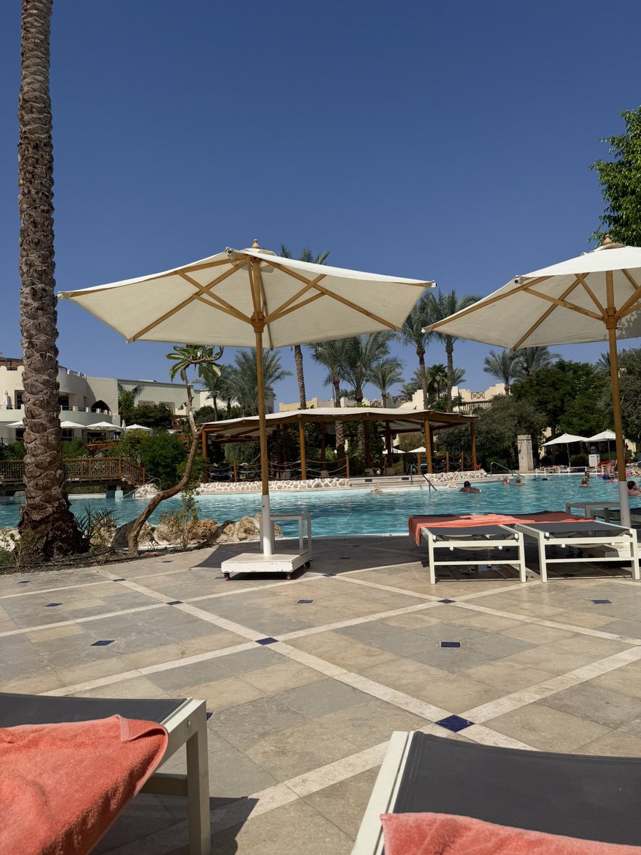 BPolyakov's tweet image. А я на море