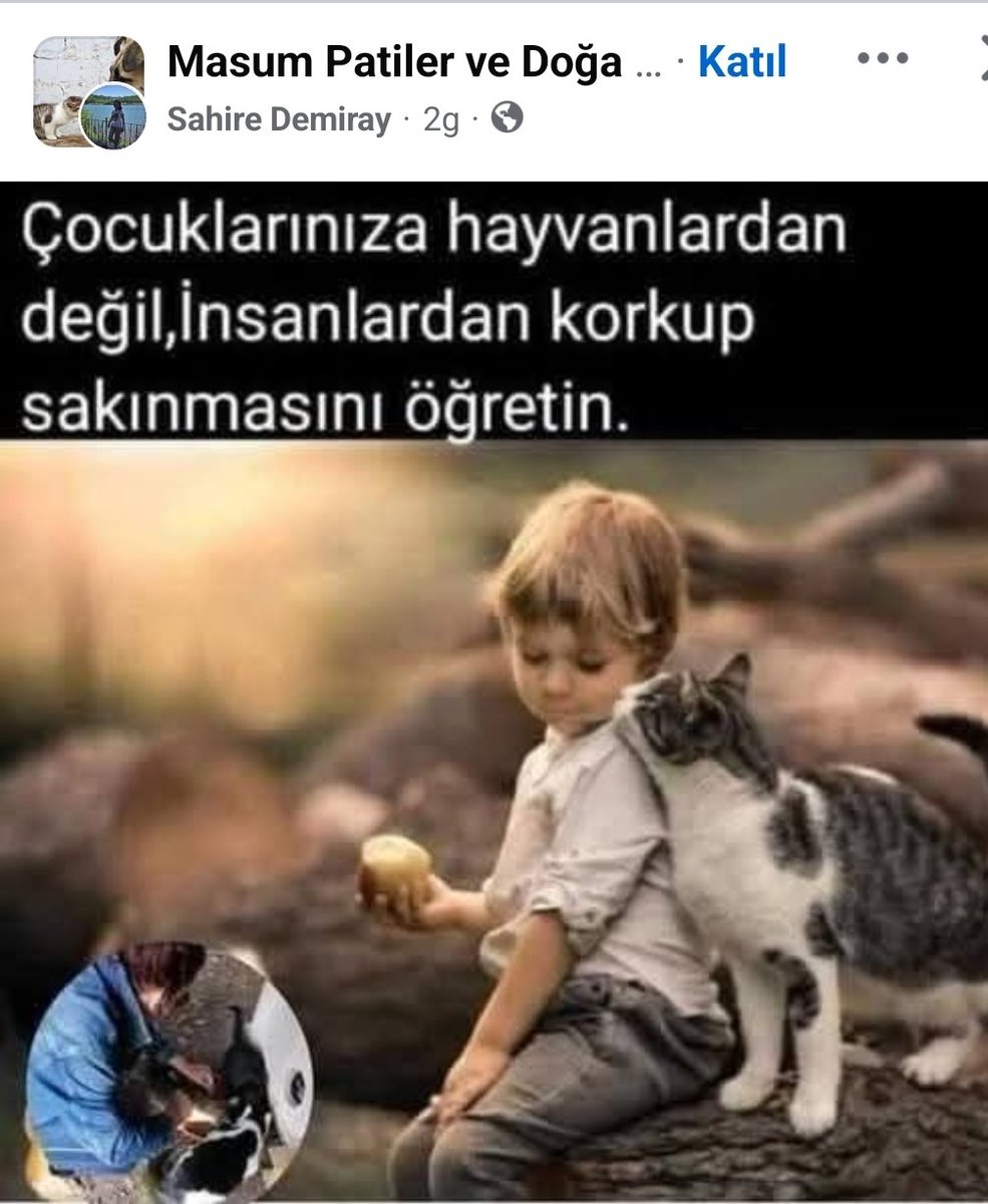 Devlet Sözümona hayvansever derneklerin bu tip propagandasına izin vermemelidir! <a href="/adalet_bakanlik/">T.C. Adalet Bakanlığı</a> <a href="/TC_icisleri/">T.C. İçişleri Bakanlığı</a> <a href="/TCTarim/">T.C. Tarım ve Orman Bakanlığı</a> <a href="/iletisim/">T.C. İletişim Başkanlığı</a> <a href="/btgsondakika/">BTG</a>