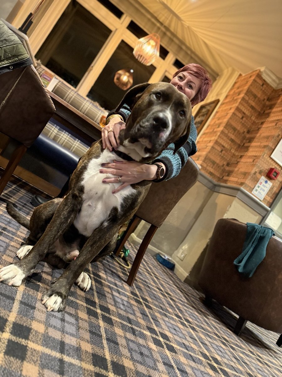 This good boy Hank needs some support. A friend of ours is raising funds to help his dog, who needs some urgent medical care. If you could help in any way, we’d really appreciate it. gofund.me/627465856