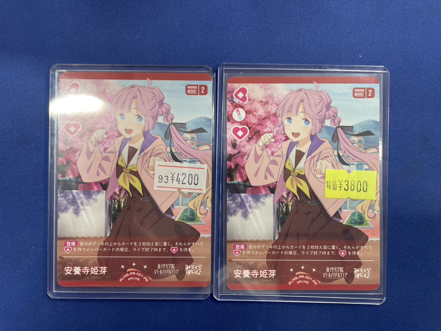 ラブカ プロモ PR 2023 安養寺姫芽