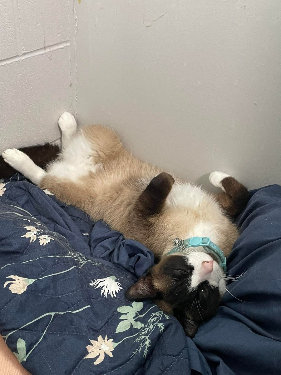 Nicole Lindsell (@nicolelindsell1) on Twitter photo 