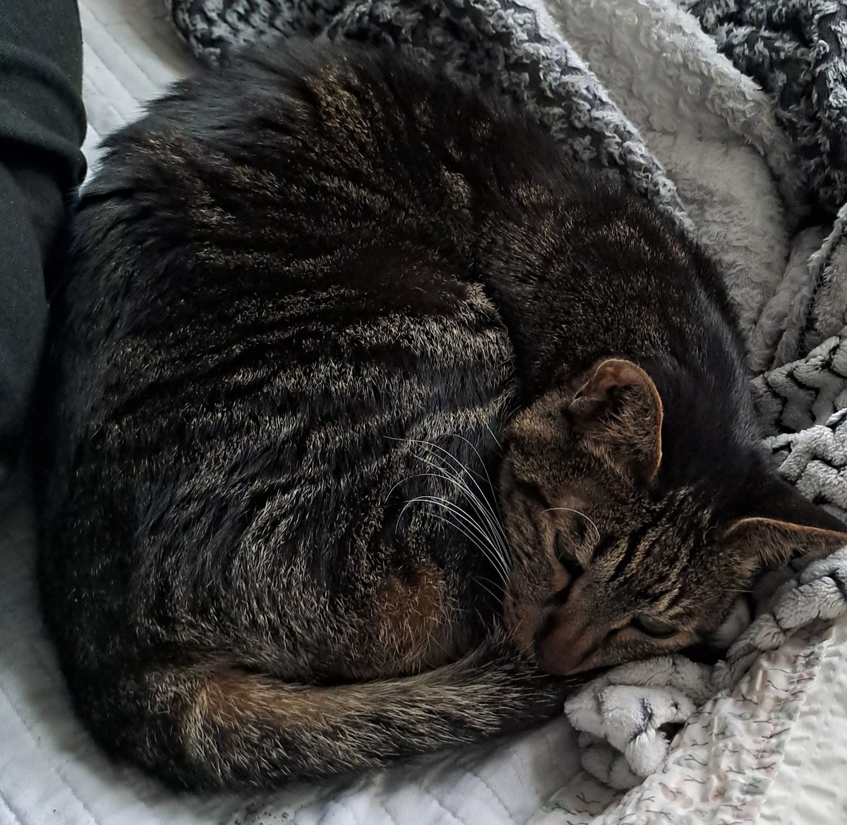 그릴 닭다리야 힘내
점점 먹을게 없어지고 있어