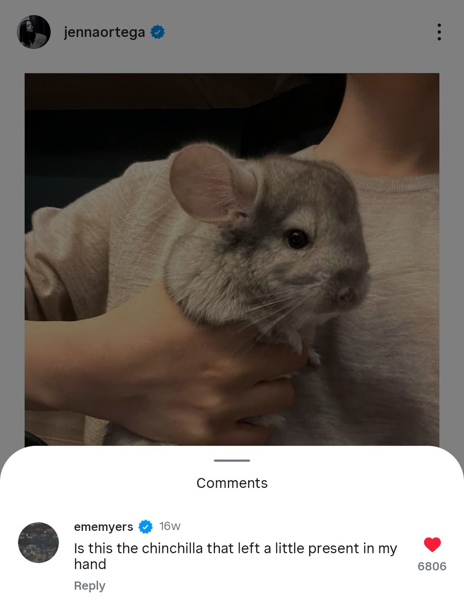 i think it's a crime we haven't seen any photos or clips of the wednesday cast with jenna's chinchillas. i just know someone in there have a photo of emma's poop moment with basil 🥹