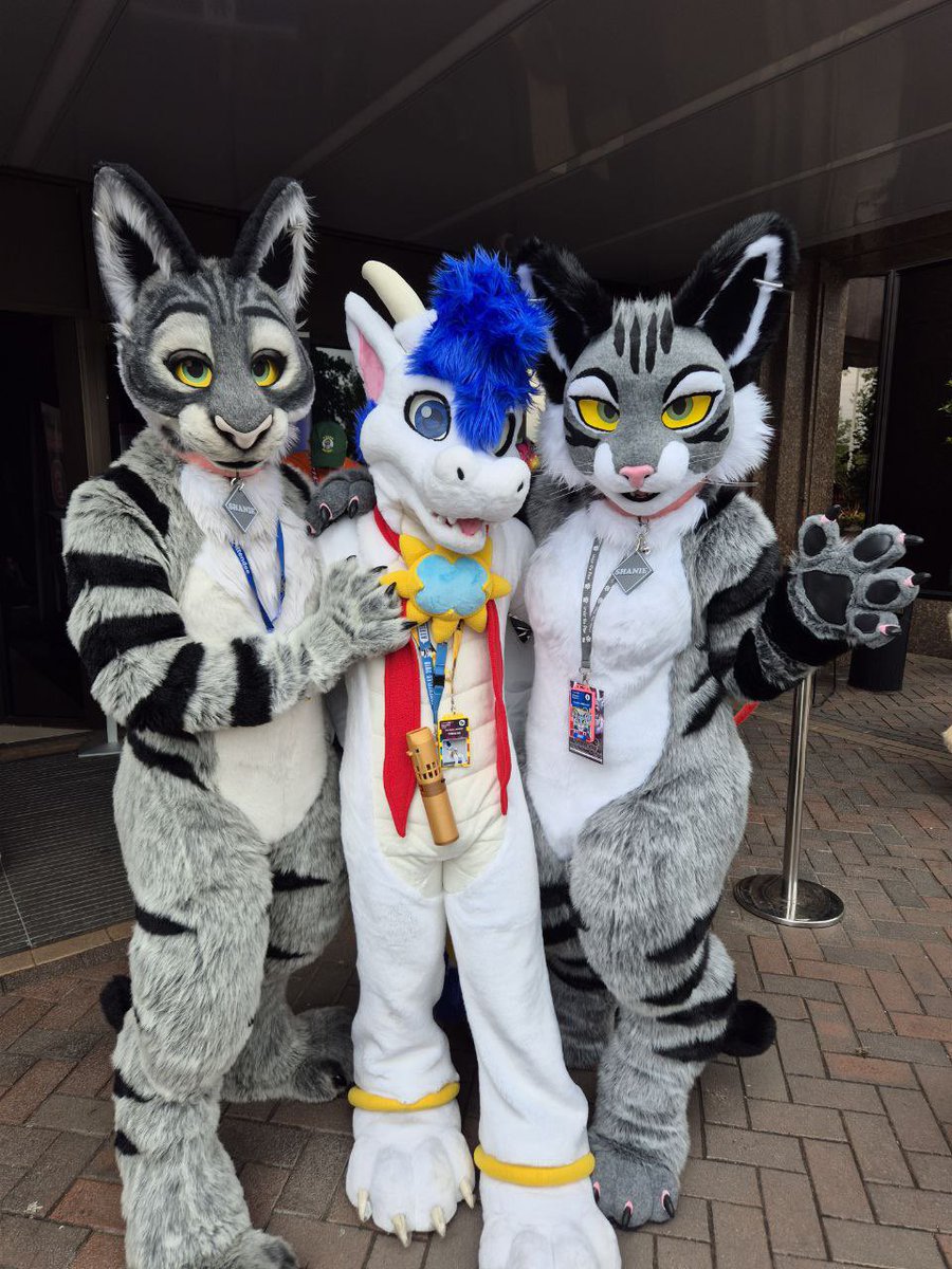 Tyrenzael ๐ฌ๐งโ๏ธ (@theangeldragon) on Twitter photo Cats!
#FursuitEveryday Cats!
#FursuitEveryday