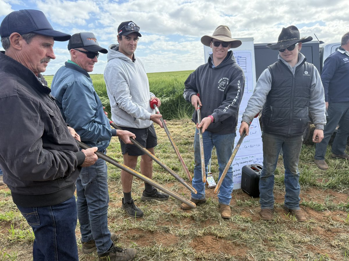 Michael Moodie tweet media