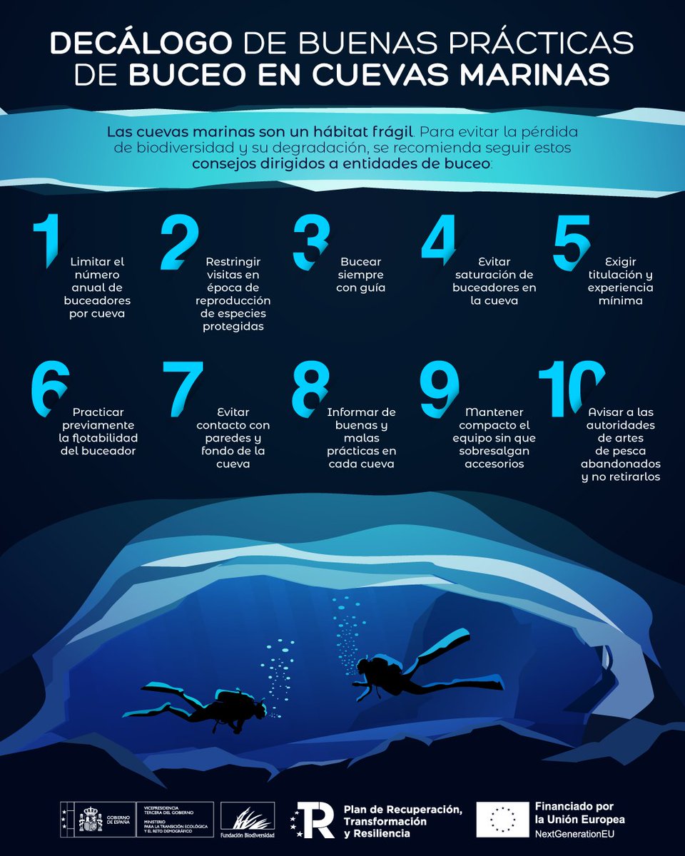 🪸 Las cuevas marinas son un hábitat de interés comunitario, único y frágil.

Albergan y dan refugio a diversidad de corales, anémonas, peces y crustáceos singulares.

🤿 Bucear de forma responsable contribuye a su protección 👇

#NextGeneration #PlandeRecuperación