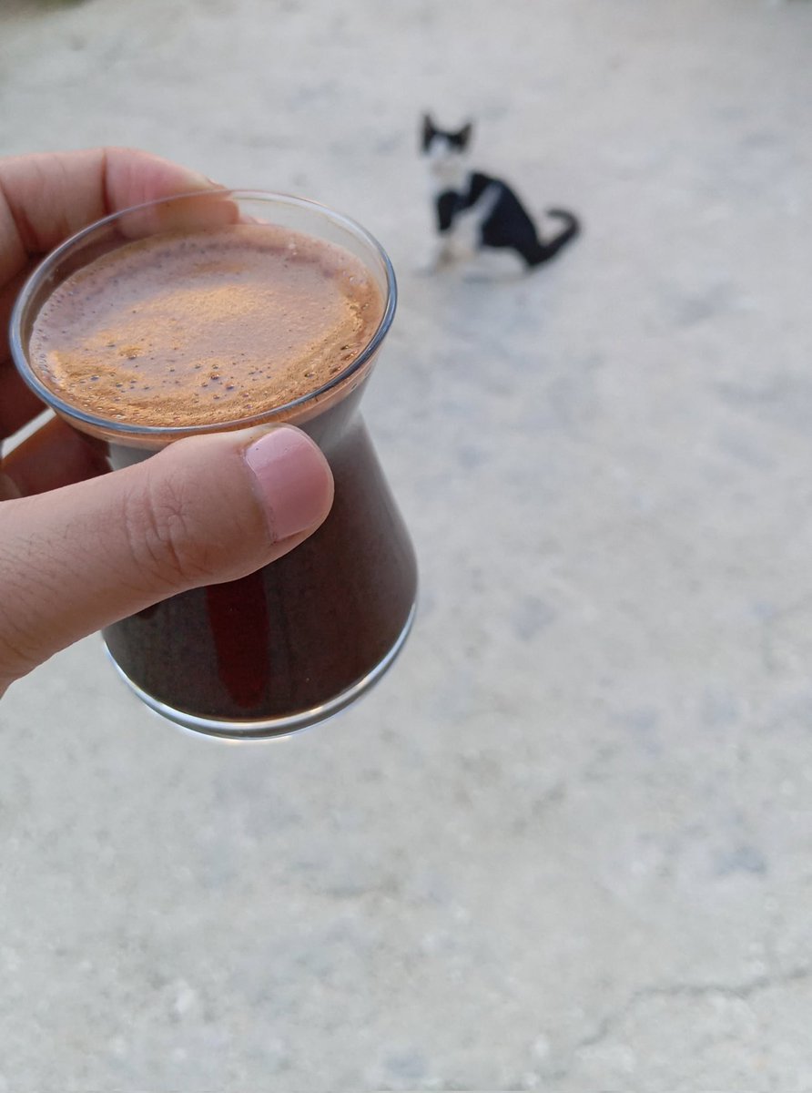 Nasıl da yoruluyor insan sustuklarından.