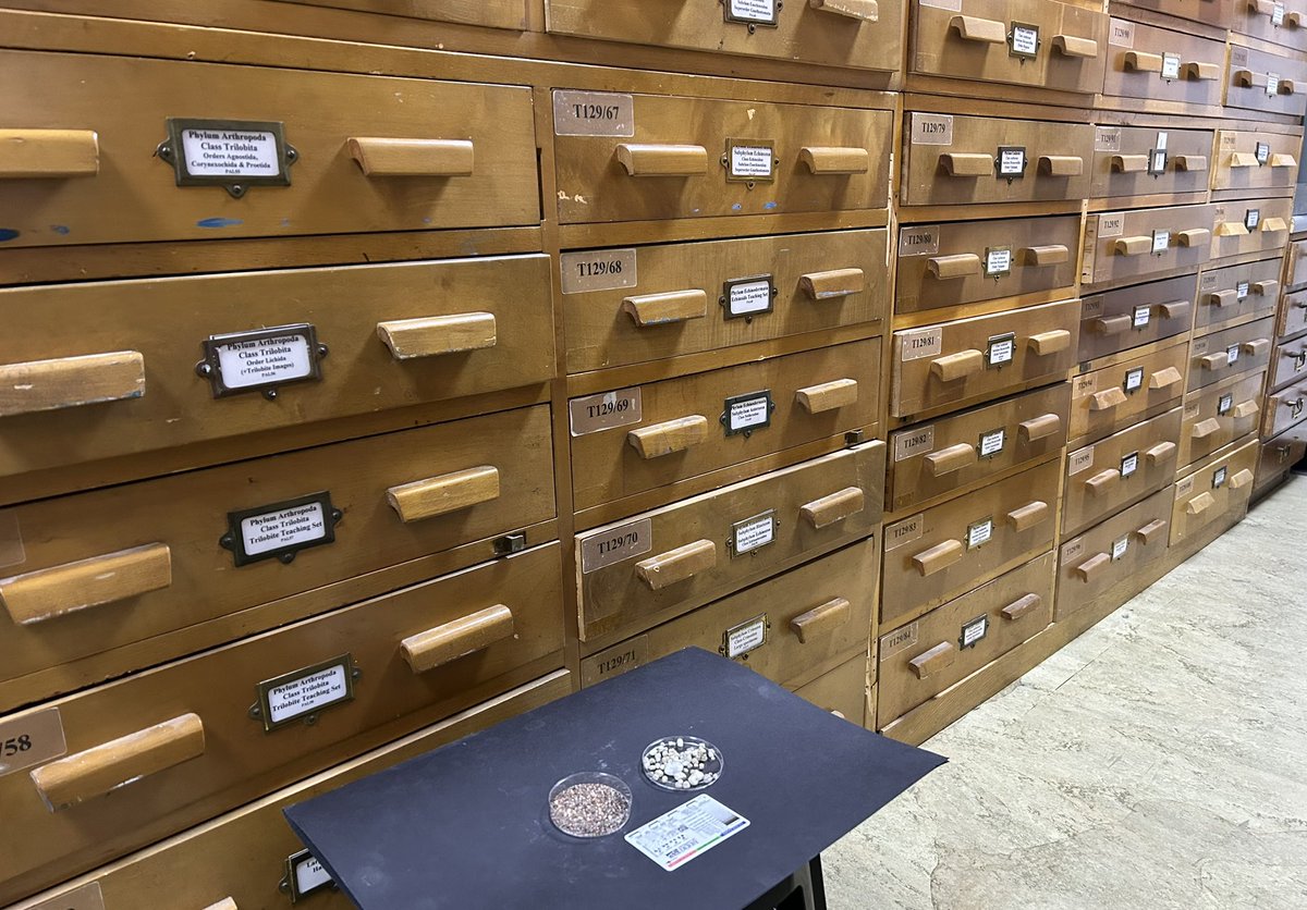 Annette Lokier tweet media