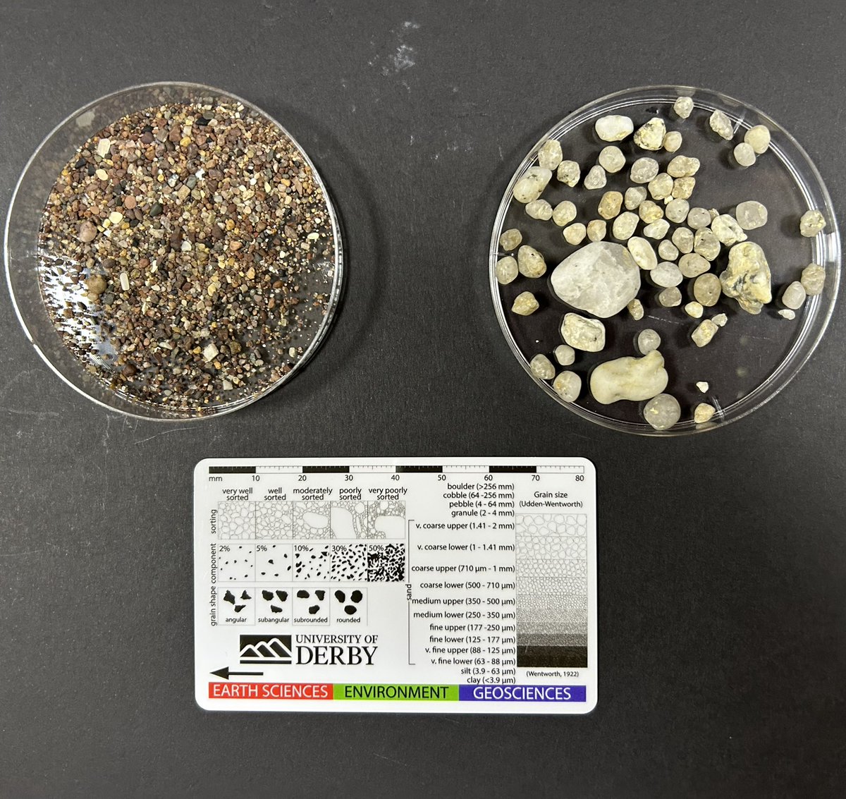 Annette Lokier tweet media