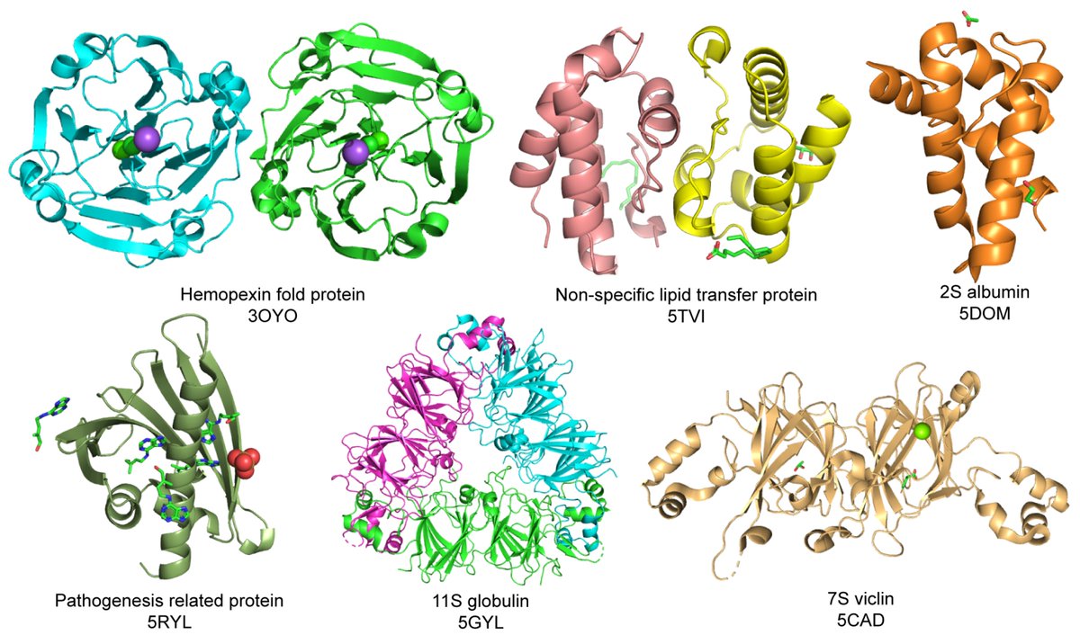 🔔#Allergies_MDPI Welcomes you to read our publication "Seed Storage Protein, Functional Diversity and Association with Allergy" by Dr. Abha Jain et al.

✅Link: brnw.ch/21wVPB6

#SeedProteins #PlantBiochemistry #ProteinClassification #FoodAllergens #PlantScience