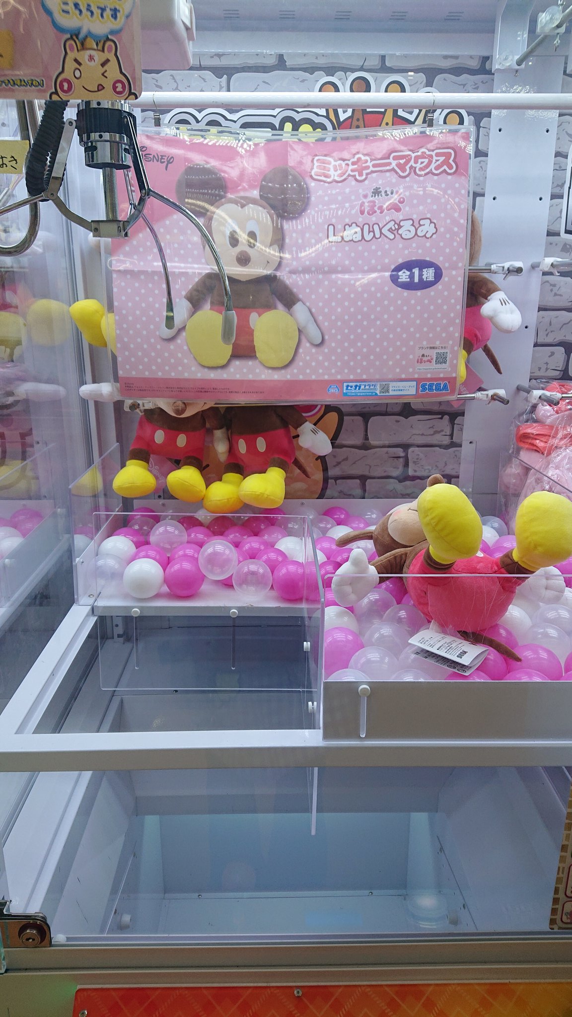 とれるんキングダム👑サカイモール店 on X: 