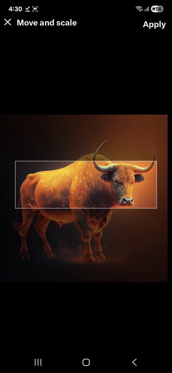 Can’t make it fit.... bullish