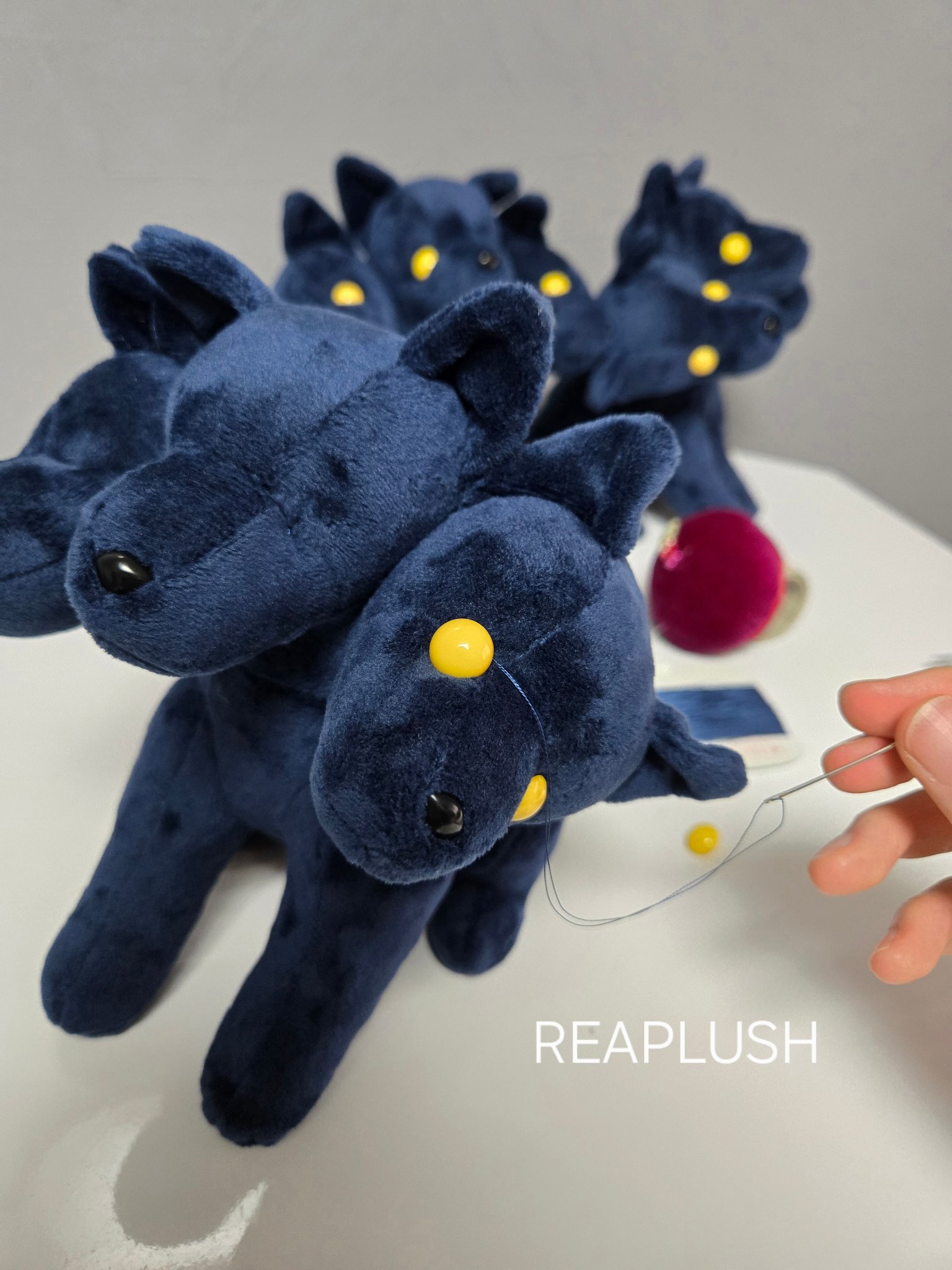 ザラメREAPLUSH@9/19いきものたちのひ (@reaplush) / X