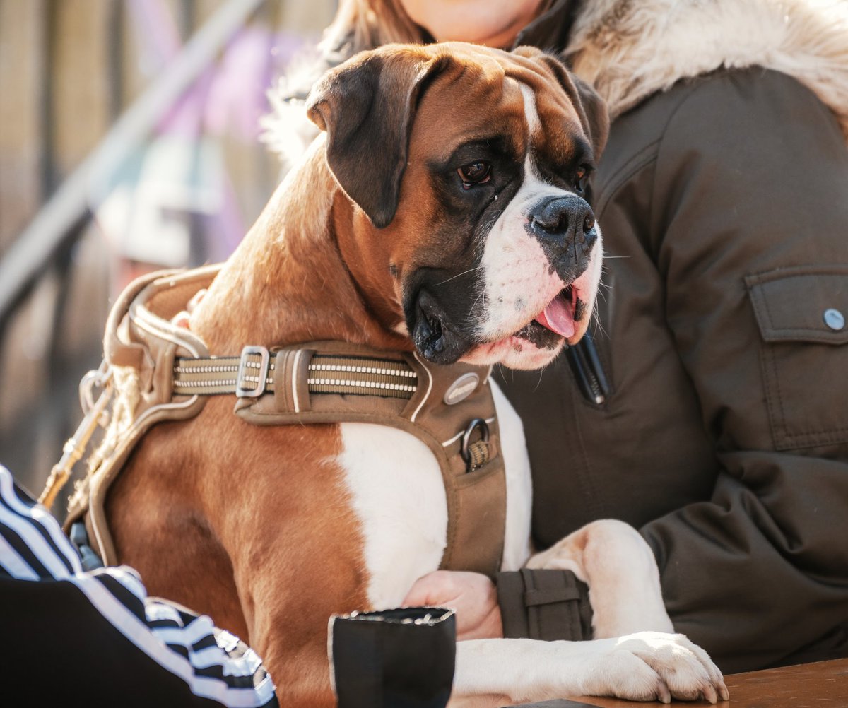 Banks Homes Riverside tweet media