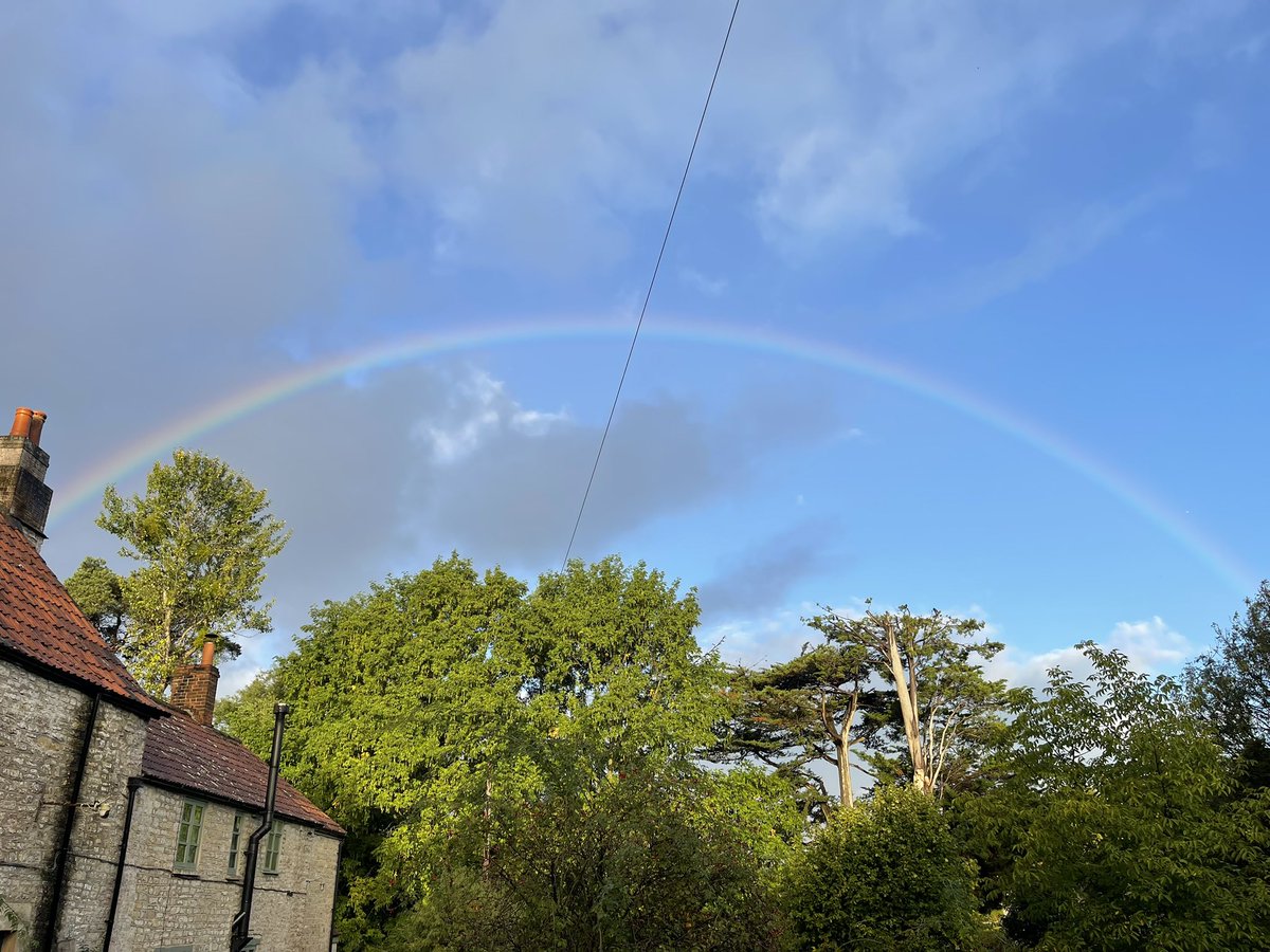 JackdawEco's tweet photo. How do you connect with nature to get insights about your business? https://t.co/fcnlf8HSRK