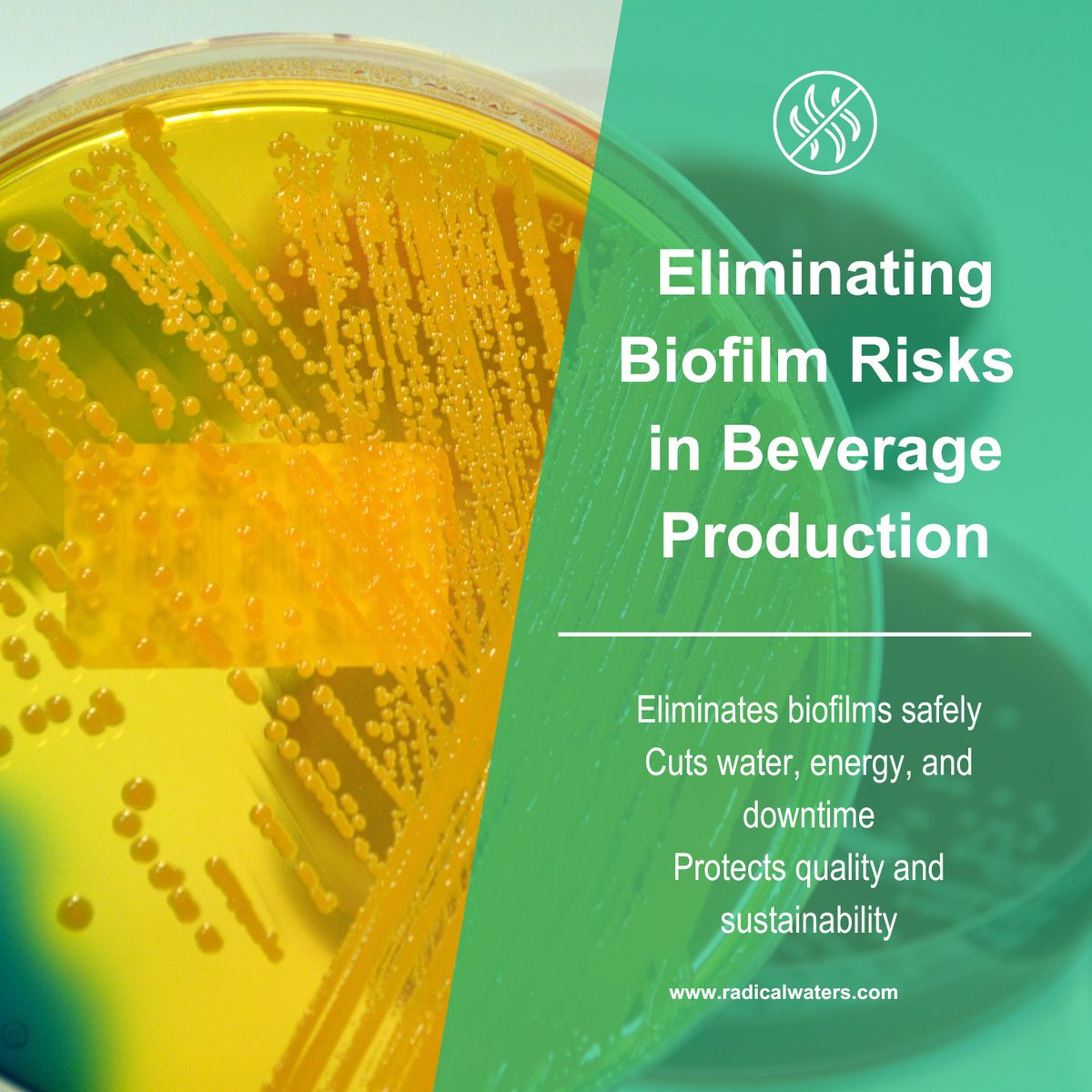 Biofilms are a costly risk in beverage production - resistant, persistent, and a threat to food safety.

Radical Waters’ ECA technology removes biofilms at the source with on-site, chemical-free solutions.

Safer hygiene. Lower costs. Real sustainability.

#FoodSafetyCompliance