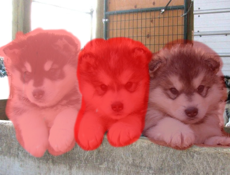 the shades of red brothers