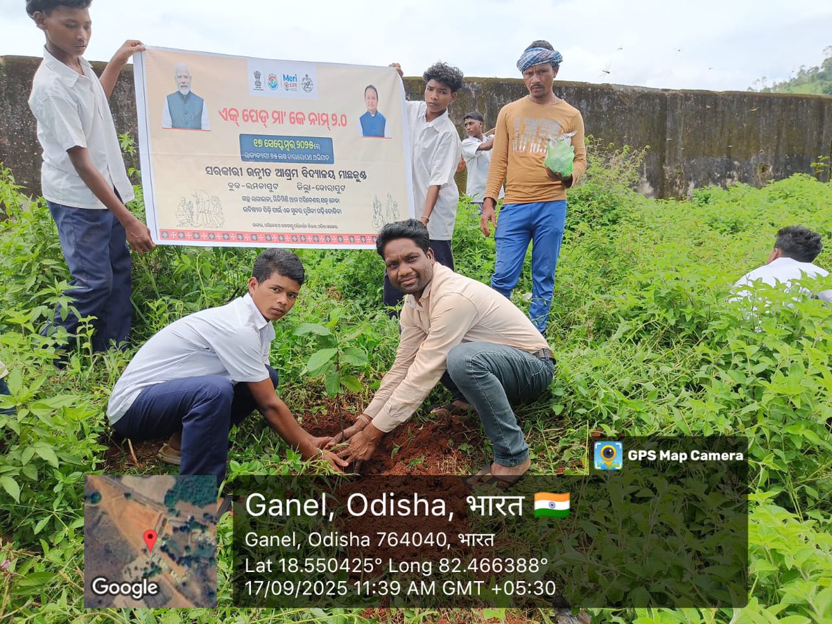 BDO_Lamtaput tweet media