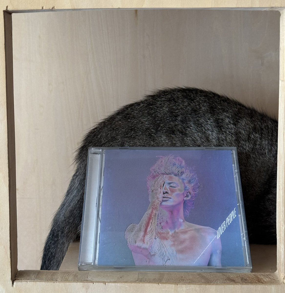 今日9月17日は中川勝彦さんの命日、ですね。
台東区谷中の常在寺にお墓がありまして。
花重改修現場の合間にお参りへ行ったことがあります。
#中川勝彦