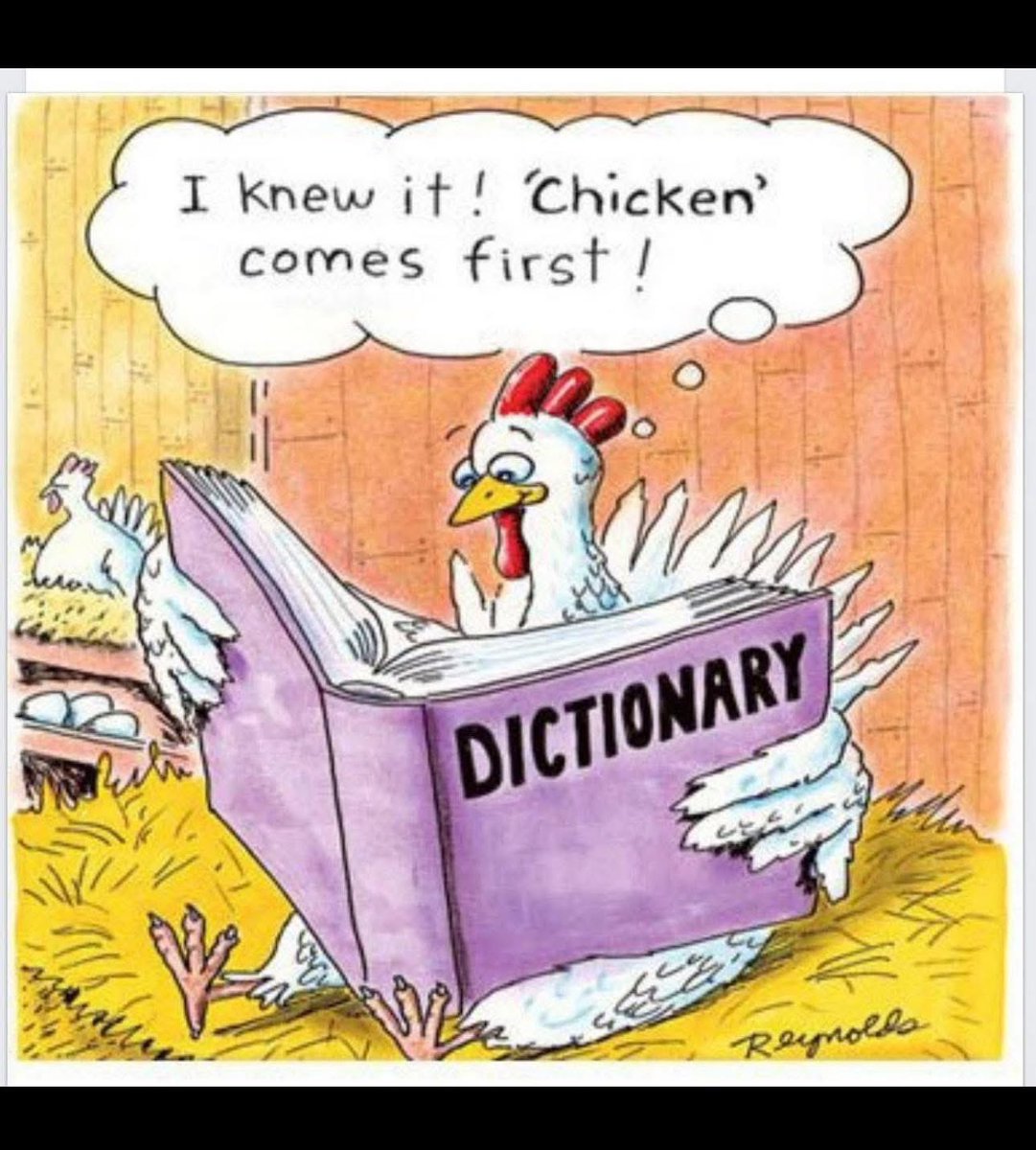 TheJaneWarne's tweet image. You will like this @warnetony ! #chickens
