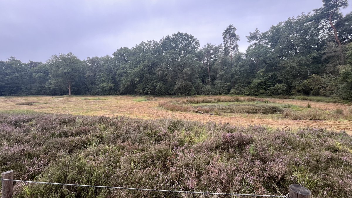 Alles gemaaid maar je mag er niet lopen.