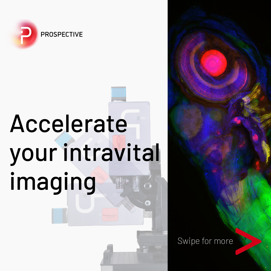 Prospective Instruments tweet media