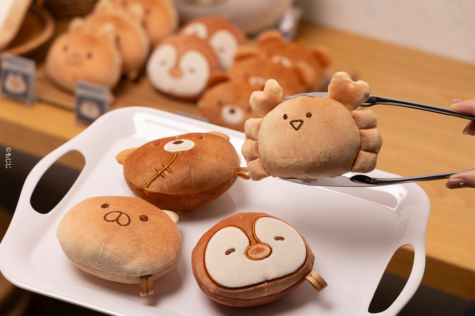 もじじ (@mojimojiji) / X