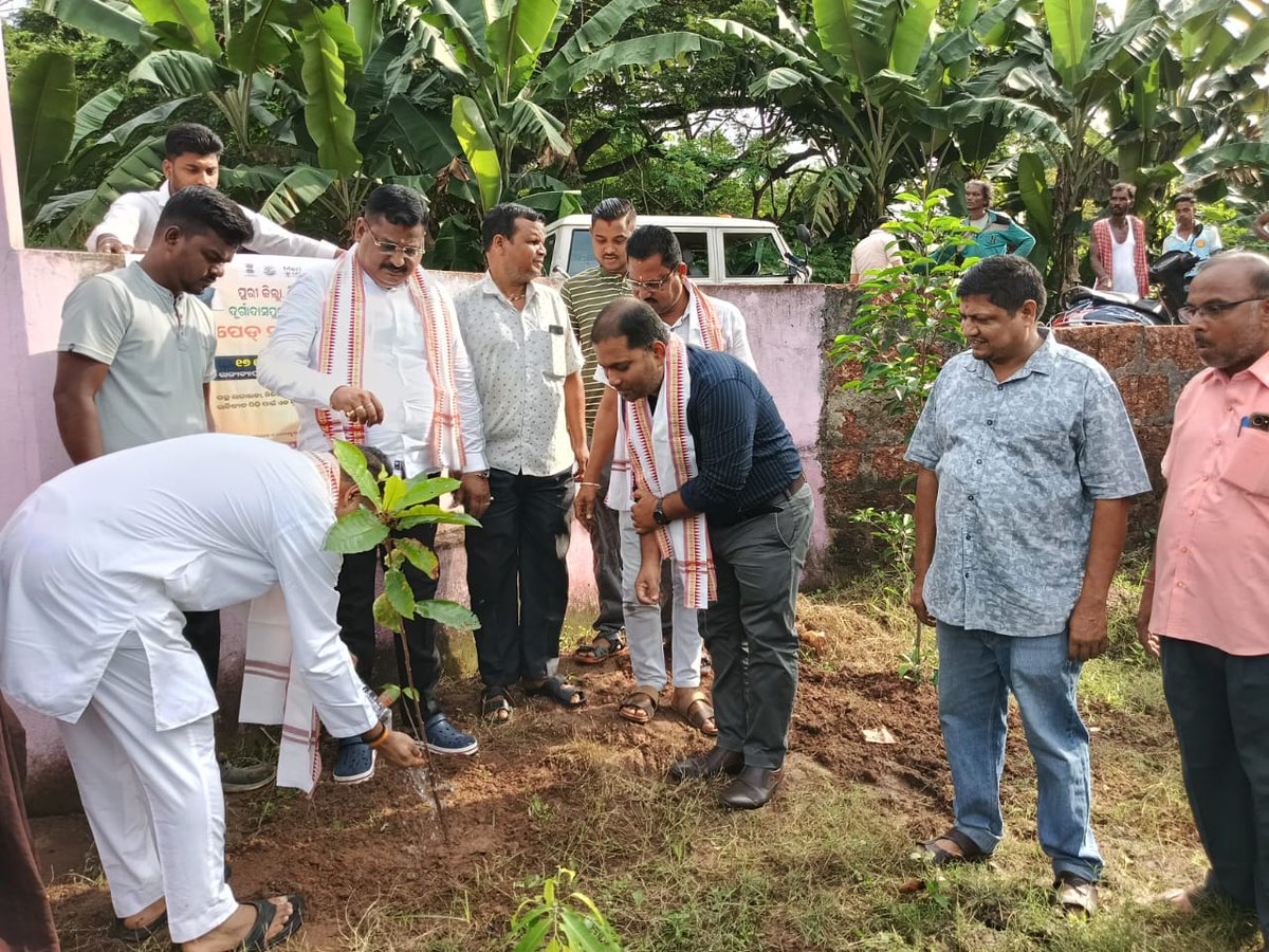 Block-Pipili tweet media