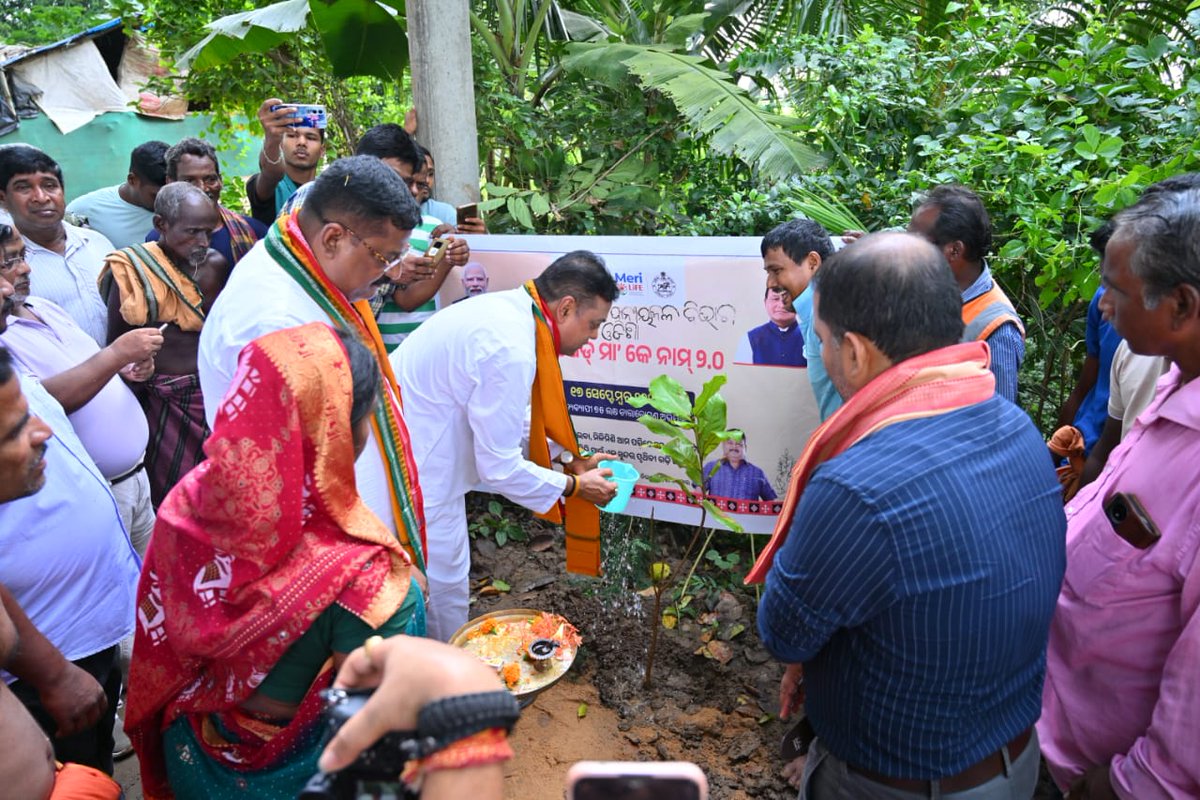 Block-Pipili tweet media