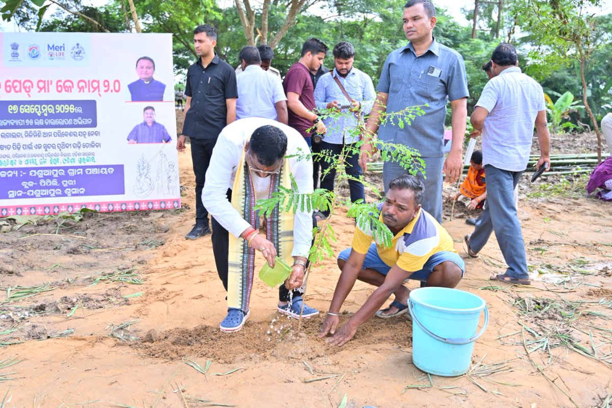 Block-Pipili tweet media