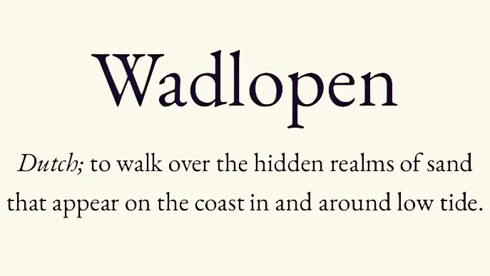 Cian McCarthy tweet media