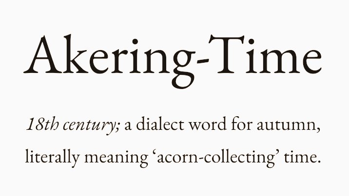 Cian McCarthy tweet media