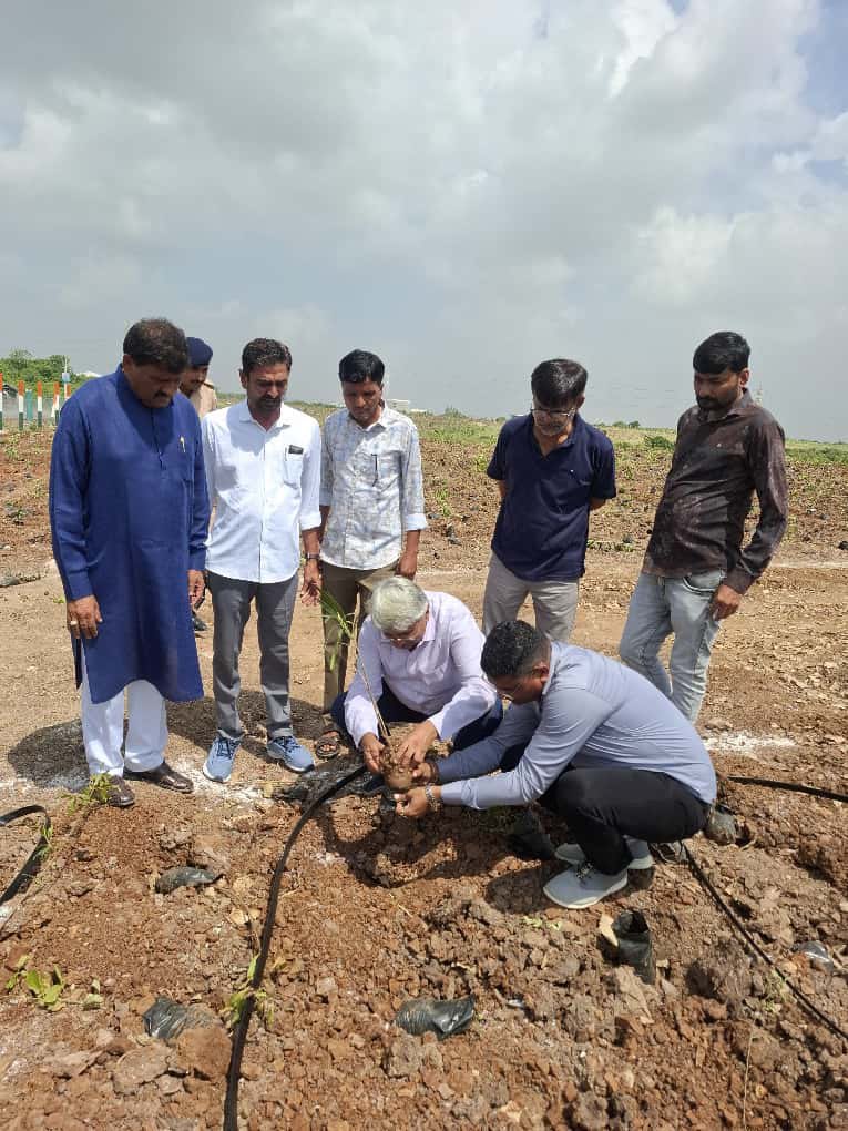 ચાલો બધા નમો વનમાં વૃક્ષારોપણ મહાઅભિયાન -