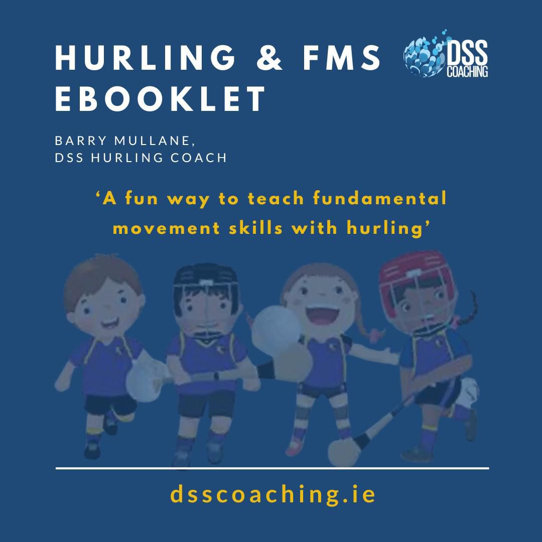 Hurling made easy tweet media