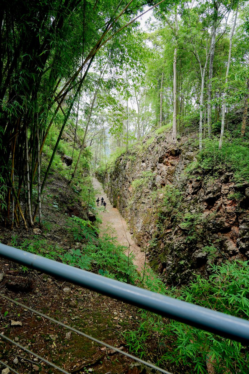 HellfirePass's tweet image. Viewpoints just above #HellfirePass allow visitors to see the dramatic cutting through the mountain with deepest point reaching 25 m. This pass was carved during #WorldWarII by prisoners of war and Asian laborers for the #BurmaThaiRailway to pass through. #Kanchanaburi