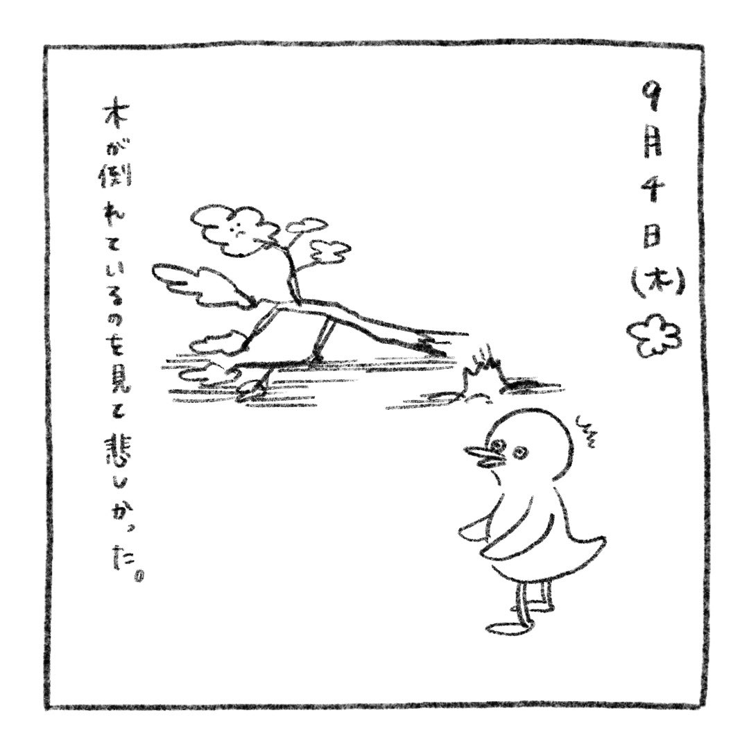 piropiropuu's tweet photo. 9月4日 (木) ☁️

木が倒れているのをみて悲しかった。

#ぷぅの絵日記
・ https://t.co/n370TAihfg