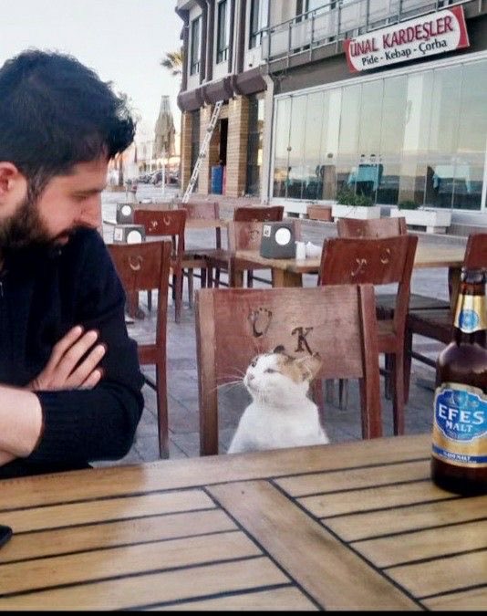 "She took the fucking kids, Dave"